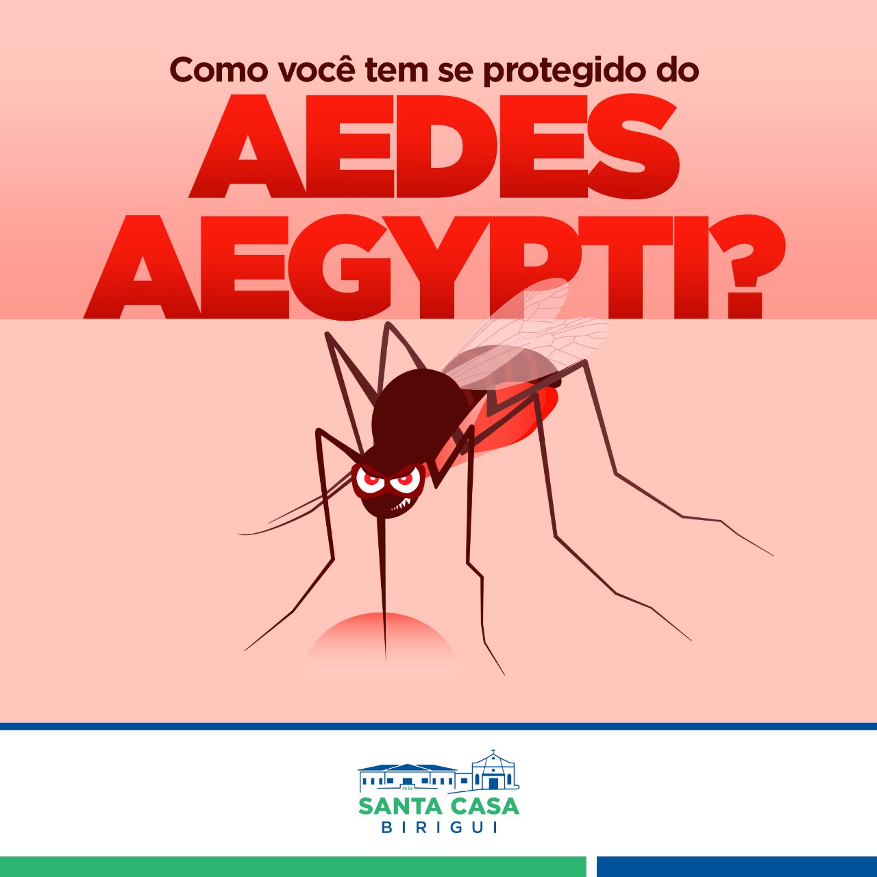 Proteja-se contra o Aedes Aegypti